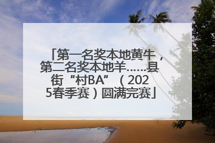 第一名奖本地黄牛，第二名奖本地羊……县街“村BA”（2025春季赛）圆满完赛