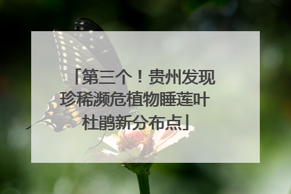 第三个！贵州发现珍稀濒危植物睡莲叶杜鹃新分布点