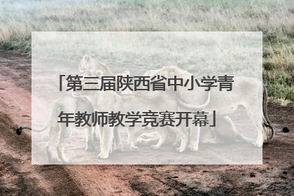 第三届陕西省中小学青年教师教学竞赛开幕