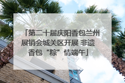 第二十届庆阳香包兰州展销会城关区开展 非遗香包“粽”情端午