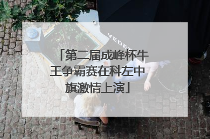 第二届成峰杯牛王争霸赛在科左中旗激情上演