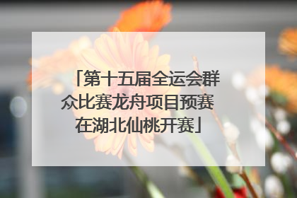 第十五届全运会群众比赛龙舟项目预赛在湖北仙桃开赛