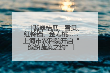 翡翠桔瓜、雪贝、红铃铛、金寿桃……上海市农科院开启“缤纷蔬菜之约”