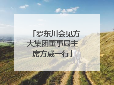 罗东川会见方大集团董事局主席方威一行