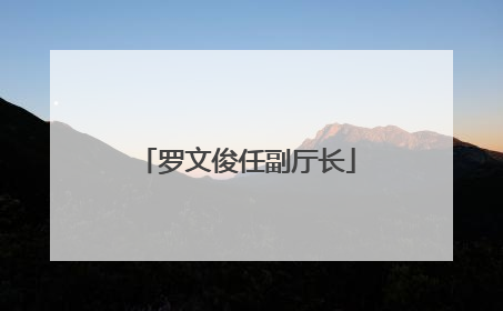 罗文俊任副厅长