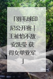 羽毛球印尼公开赛｜王祉怡不敌安洗莹 获得女单亚军