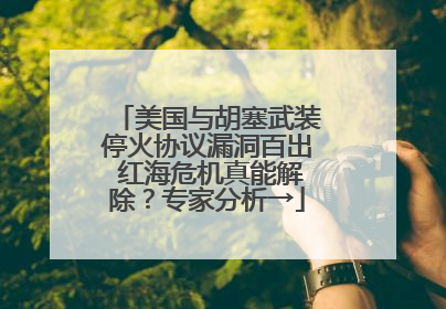 美国与胡塞武装停火协议漏洞百出 红海危机真能解除？专家分析→