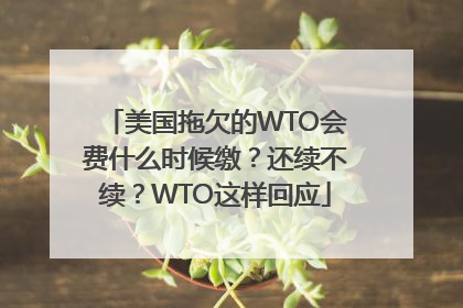 美国拖欠的WTO会费什么时候缴？还续不续？WTO这样回应
