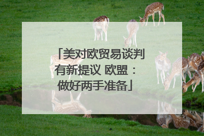 美对欧贸易谈判有新提议 欧盟：做好两手准备
