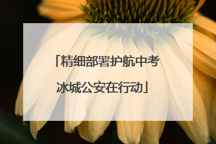 精细部署护航中考 冰城公安在行动