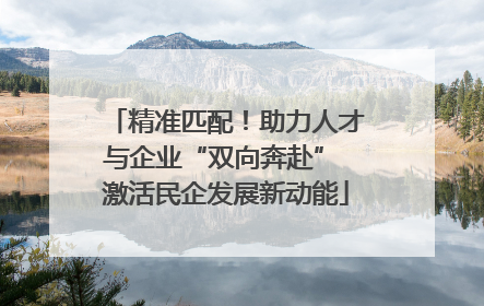 精准匹配！助力人才与企业“双向奔赴” 激活民企发展新动能
