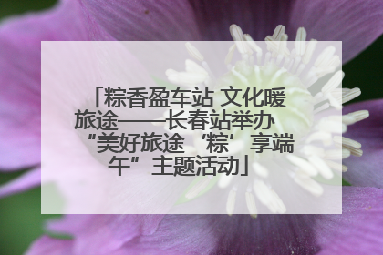 粽香盈车站 文化暖旅途——长春站举办 “美好旅途‘粽’享端午”主题活动