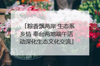 粽香飘两岸 生态系乡情 奉台两地端午活动深化生态文化交流