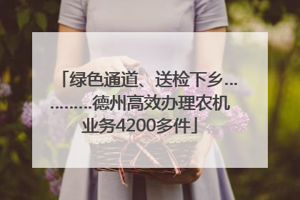 绿色通道、送检下乡…………德州高效办理农机业务4200多件