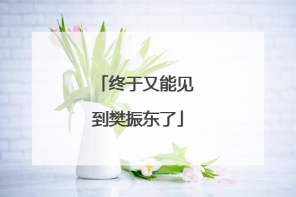 终于又能见到樊振东了
