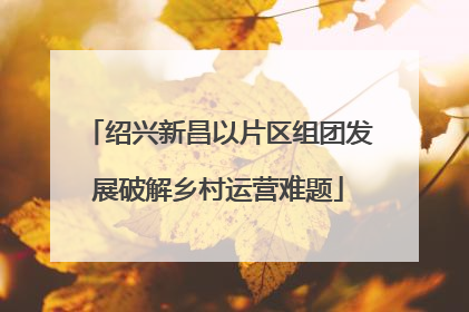 绍兴新昌以片区组团发展破解乡村运营难题