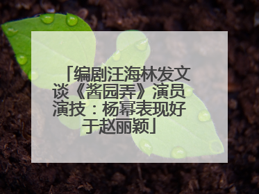 编剧汪海林发文谈《酱园弄》演员演技：杨幂表现好于赵丽颖