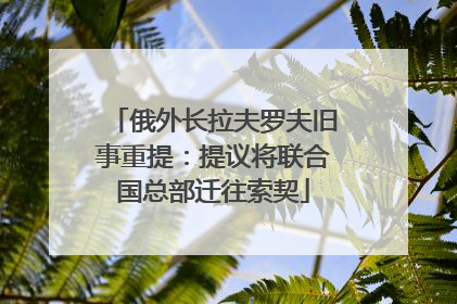 俄外长拉夫罗夫旧事重提：提议将联合国总部迁往索契