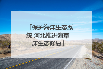 保护海洋生态系统 河北推进海草床生态修复