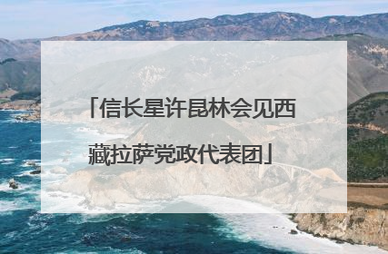 信长星许昆林会见西藏拉萨党政代表团