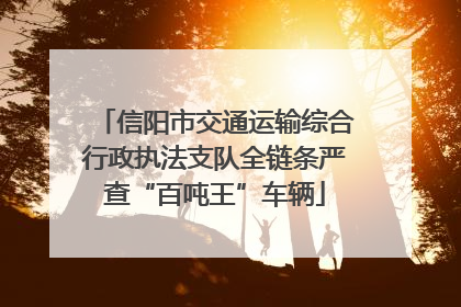 信阳市交通运输综合行政执法支队全链条严查“百吨王”车辆