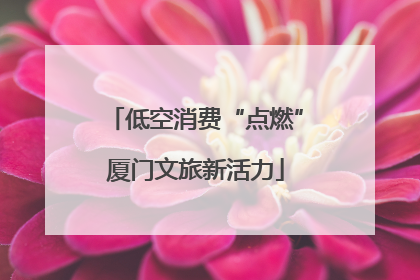 低空消费“点燃”厦门文旅新活力
