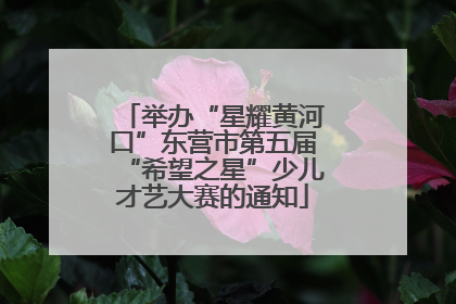 举办“星耀黄河口”东营市第五届“希望之星”少儿才艺大赛的通知