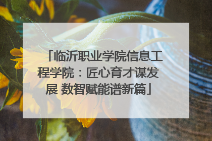 临沂职业学院信息工程学院：匠心育才谋发展 数智赋能谱新篇