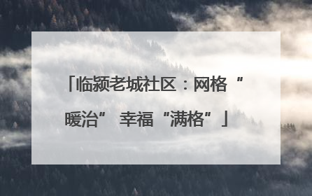 临颍老城社区：网格“暖治” 幸福“满格”