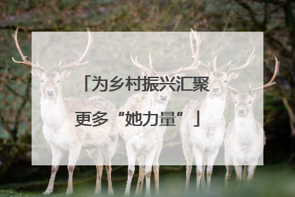 为乡村振兴汇聚更多“她力量”