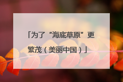 为了“海底草原”更繁茂（美丽中国）