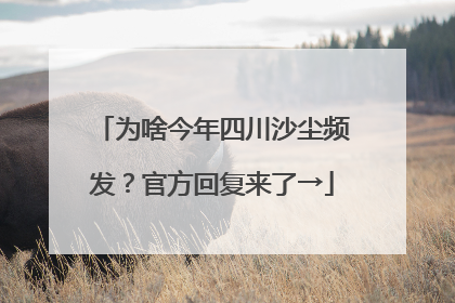 为啥今年四川沙尘频发？官方回复来了→