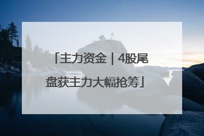 主力资金｜4股尾盘获主力大幅抢筹