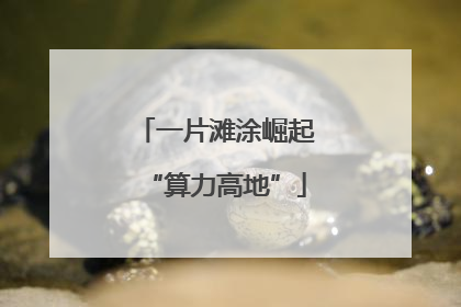 一片滩涂崛起“算力高地”