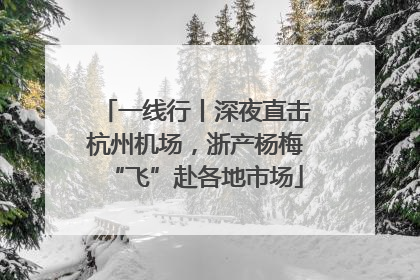 一线行丨深夜直击杭州机场，浙产杨梅“飞”赴各地市场