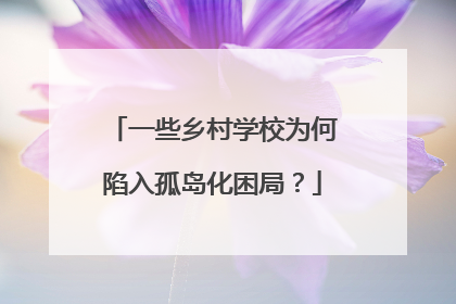 一些乡村学校为何陷入孤岛化困局？