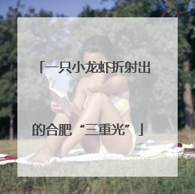 一只小龙虾折射出的合肥“三重光”