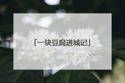 一块豆腐进城记