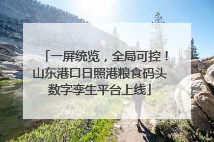一屏统览，全局可控！山东港口日照港粮食码头数字孪生平台上线