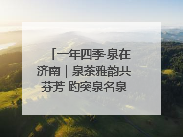一年四季·泉在济南｜泉茶雅韵共芬芳 趵突泉名泉茗茶品鉴会举行