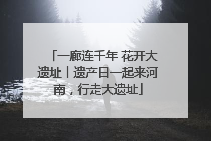 一廊连千年 花开大遗址丨遗产日一起来河南,行走大遗址
