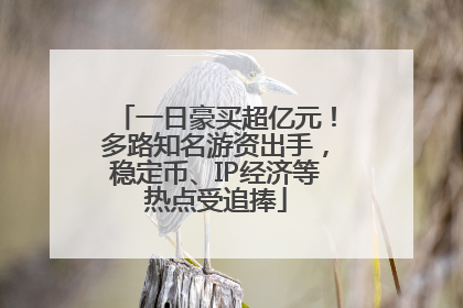 一日豪买超亿元！多路知名游资出手，稳定币、IP经济等热点受追捧