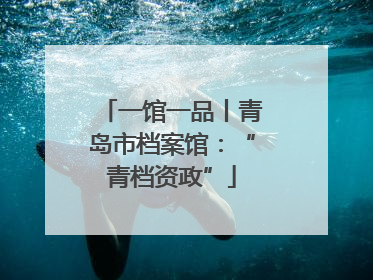一馆一品丨青岛市档案馆：“青档资政”