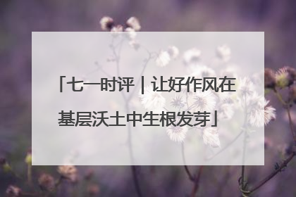 七一时评｜让好作风在基层沃土中生根发芽