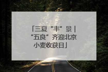 三夏“丰”景｜“五良”齐迎北京小麦收获日