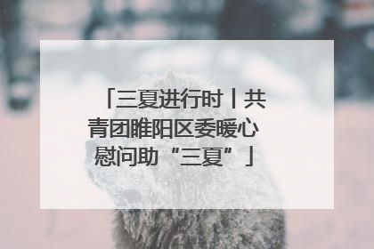 三夏进行时丨共青团睢阳区委暖心慰问助“三夏”