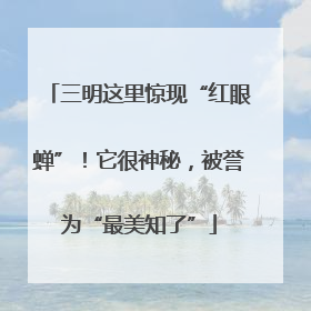 三明这里惊现“红眼蝉”！它很神秘，被誉为“最美知了”
