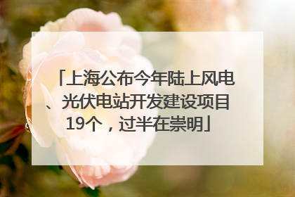 上海公布今年陆上风电、光伏电站开发建设项目19个，过半在崇明