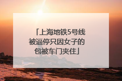 上海地铁5号线被逼停只因女子的包被车门夹住