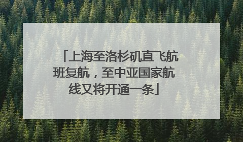 上海至洛杉矶直飞航班复航，至中亚国家航线又将开通一条